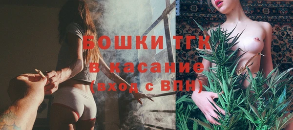хмурый Магас