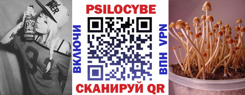 закладка  omg зеркало  нарко площадка наркотические препараты  Кызыл  Псилоцибиновые грибы мицелий 