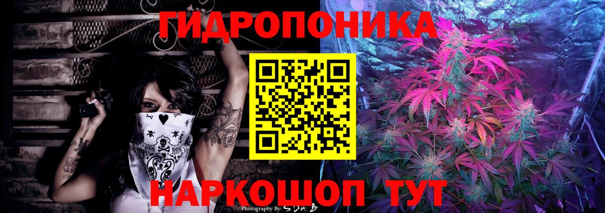 Конопля планчик Кызыл